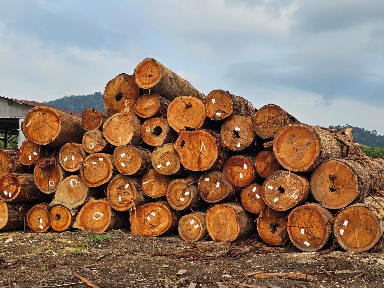 Dowtim Wood Products Sdn Bhd TEAM Membership Directory